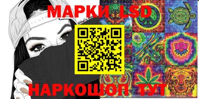 стаф Новодвинск