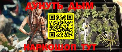 стаф Новодвинск