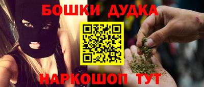 стаф Новодвинск