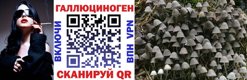 Купить где  Удомля  Галлюциногенные грибы ЛСД 