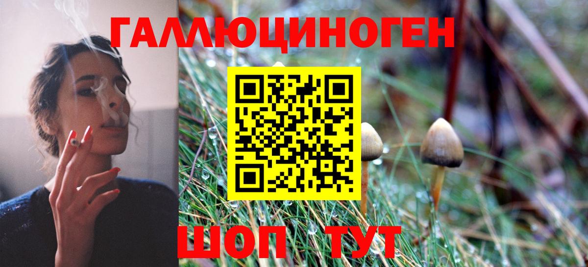 Галлюциногенные грибы Psilocybine cubensis  Удомля 