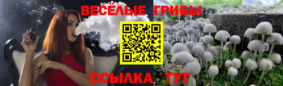 Псилоцибиновые грибы Magic Shrooms  что такое   Удомля  Вход с VPN 
